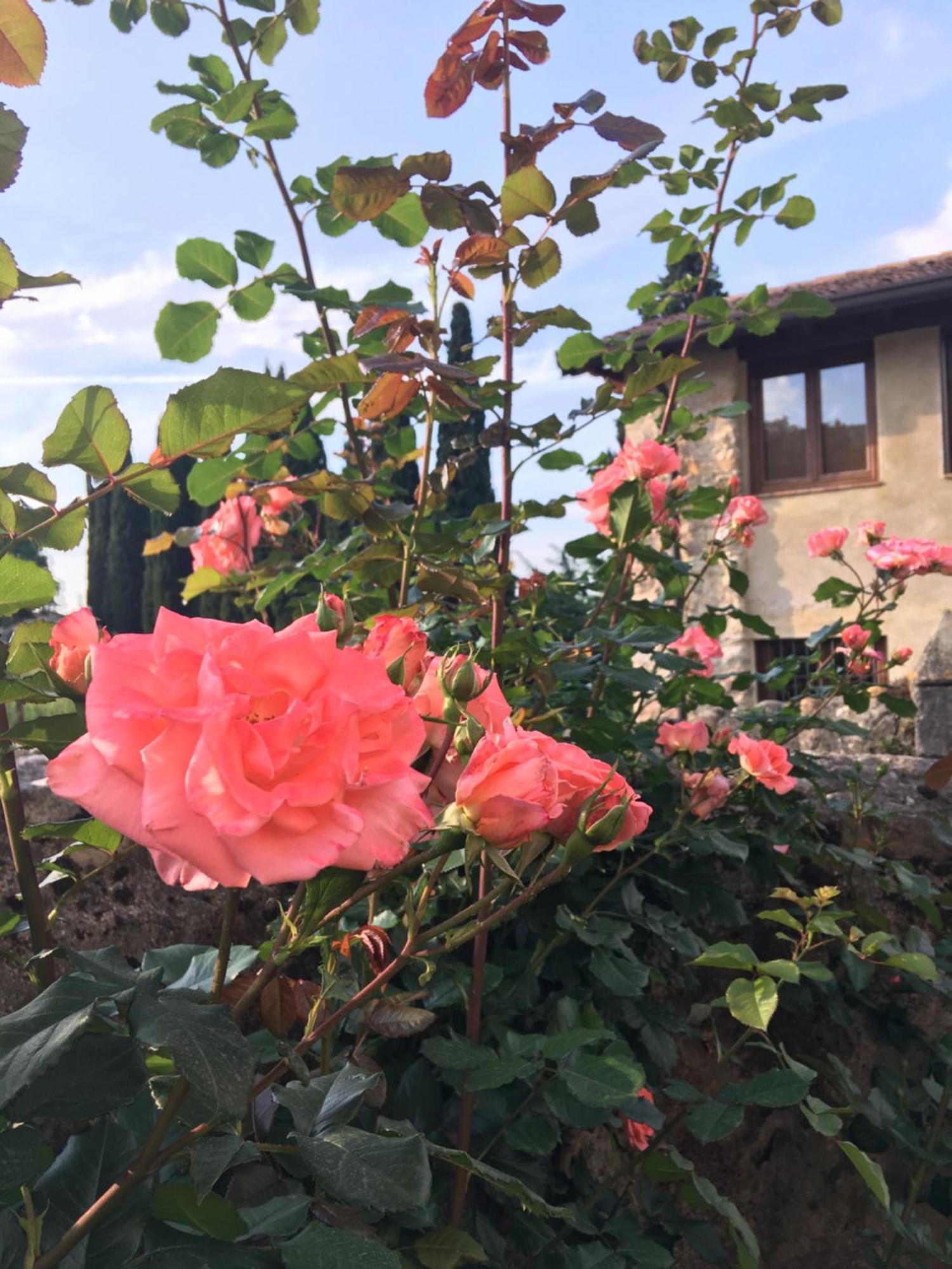 Agriturismo Val Costermano Εξωτερικό φωτογραφία
