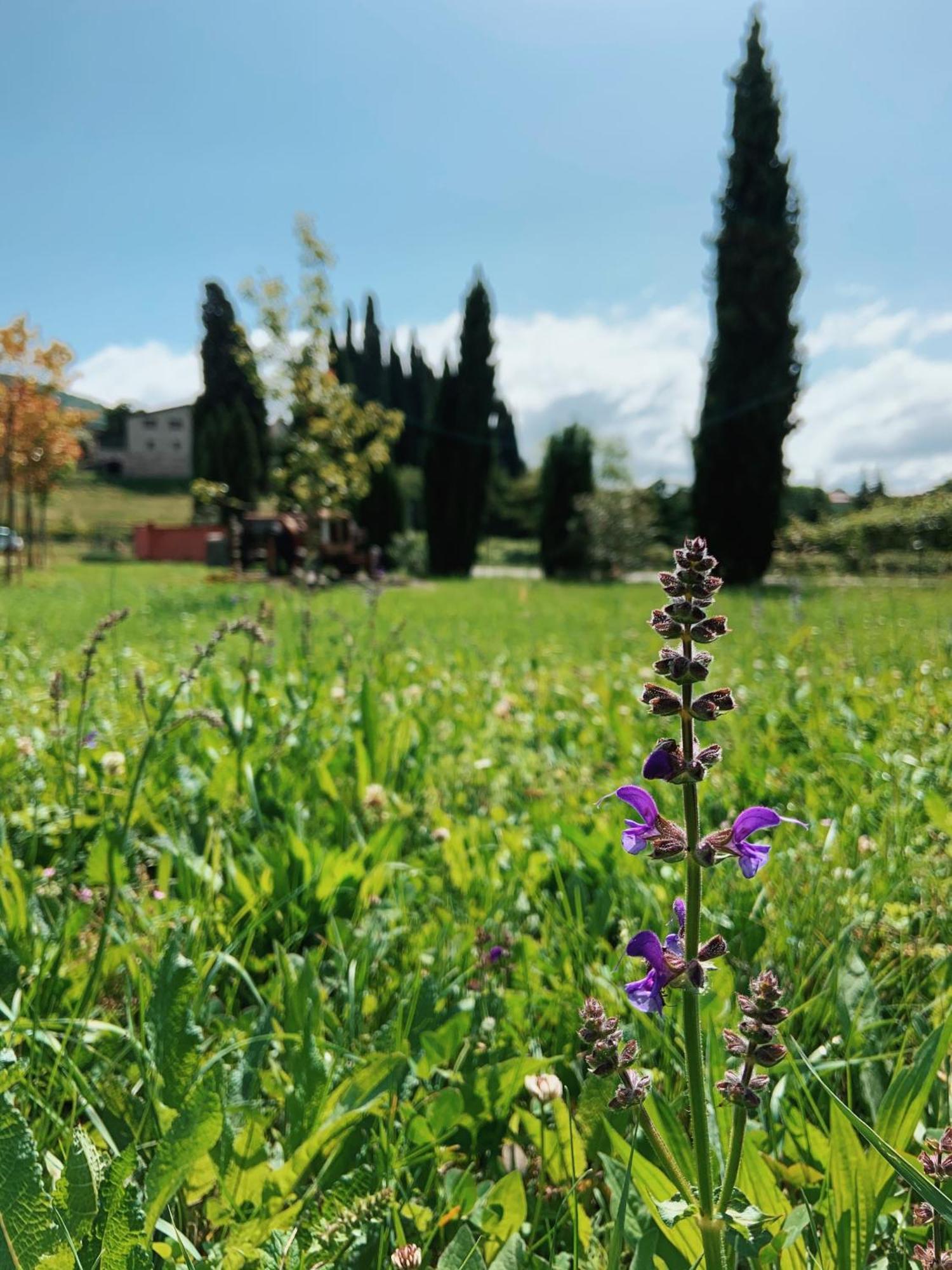 Agriturismo Val Costermano Εξωτερικό φωτογραφία